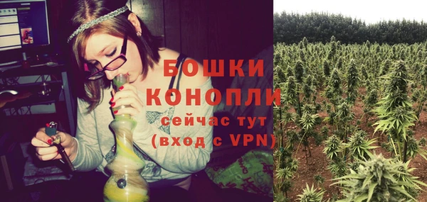 дурь Нея