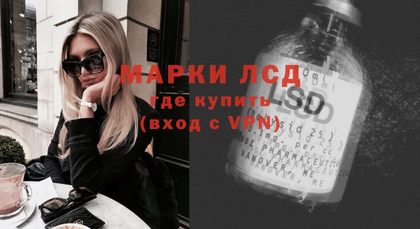 прущие грибы Надым