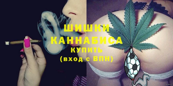прущие грибы Надым