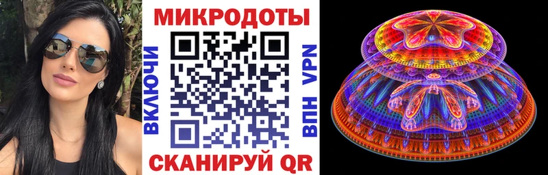 Псилоцибиновые грибы Psilocybine cubensis  Медынь 